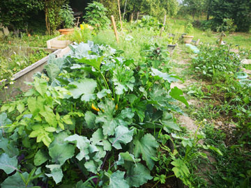 歪みが顕著に現れてくる中学生時代の話４（自叙伝０１０）