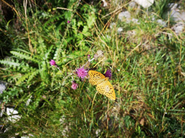 大阪のドヤ街での一人暮らしの話5(自叙伝032)